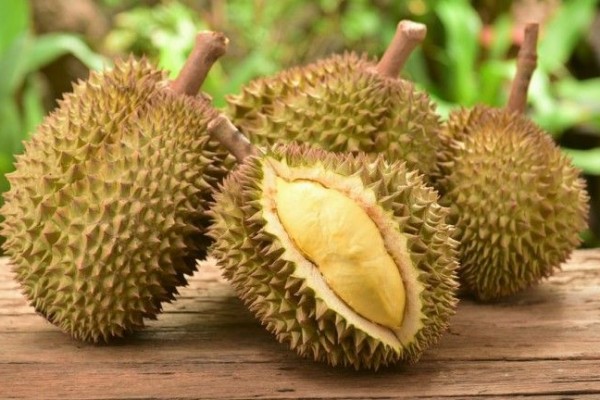 Ini Manfaat Kulit Durian Bagi Kesehatan dan Kecantikan