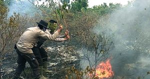 Kapolda Riau Tetapkan Tersangka Kebakaran Hutan