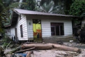 Banjir Bandang Labura Diduga Penebangan Hutan