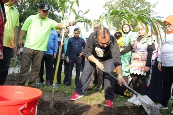 Plt Walikota Medan Gelar Aksi Tanam Pohon Di Sekolah
