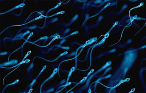 Sperma Mengandung Virus Corona, Sementara Waktu Hindari Hubungan Seks