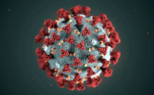 Penerapan WFH Diperkirakan Akan Berlanjut Sampai Pandemi Covid-19 Berakhir