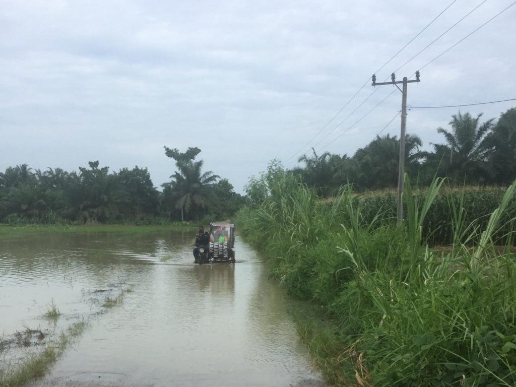 Ratusan Hektar Sawah dan Rumah Warga di Serdang Bedagai Terendam Banjir