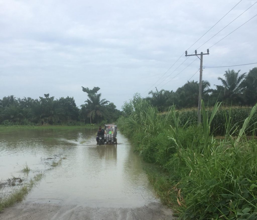 Ratusan Hektar Sawah dan Rumah Warga di Serdang Bedagai Terendam Banjir