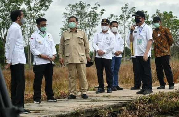 Kalimantan Tengah Dinilai Cocok Jadi Lumbung Pangan Nasional