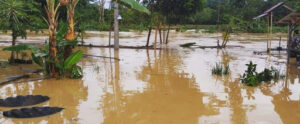 Sungai Merbau Meluap, Puluhan Rumah Lima Desa Terendam Banjir