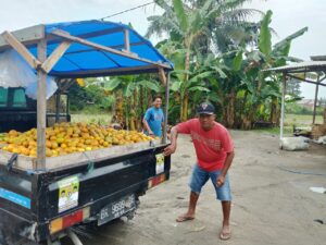 Pedagang Buah Desa Sei Buluh Dukung Darma Wijaya-Adlin Tambunan