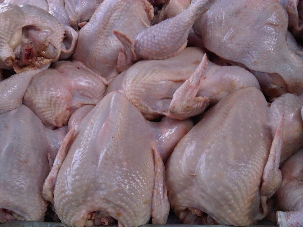 Harga Ayam Potong di  Medan Tembus Rp 35.000 Perkilogram