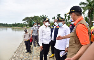 BNPB Usulkan Vetiver untuk Cegah Longsor