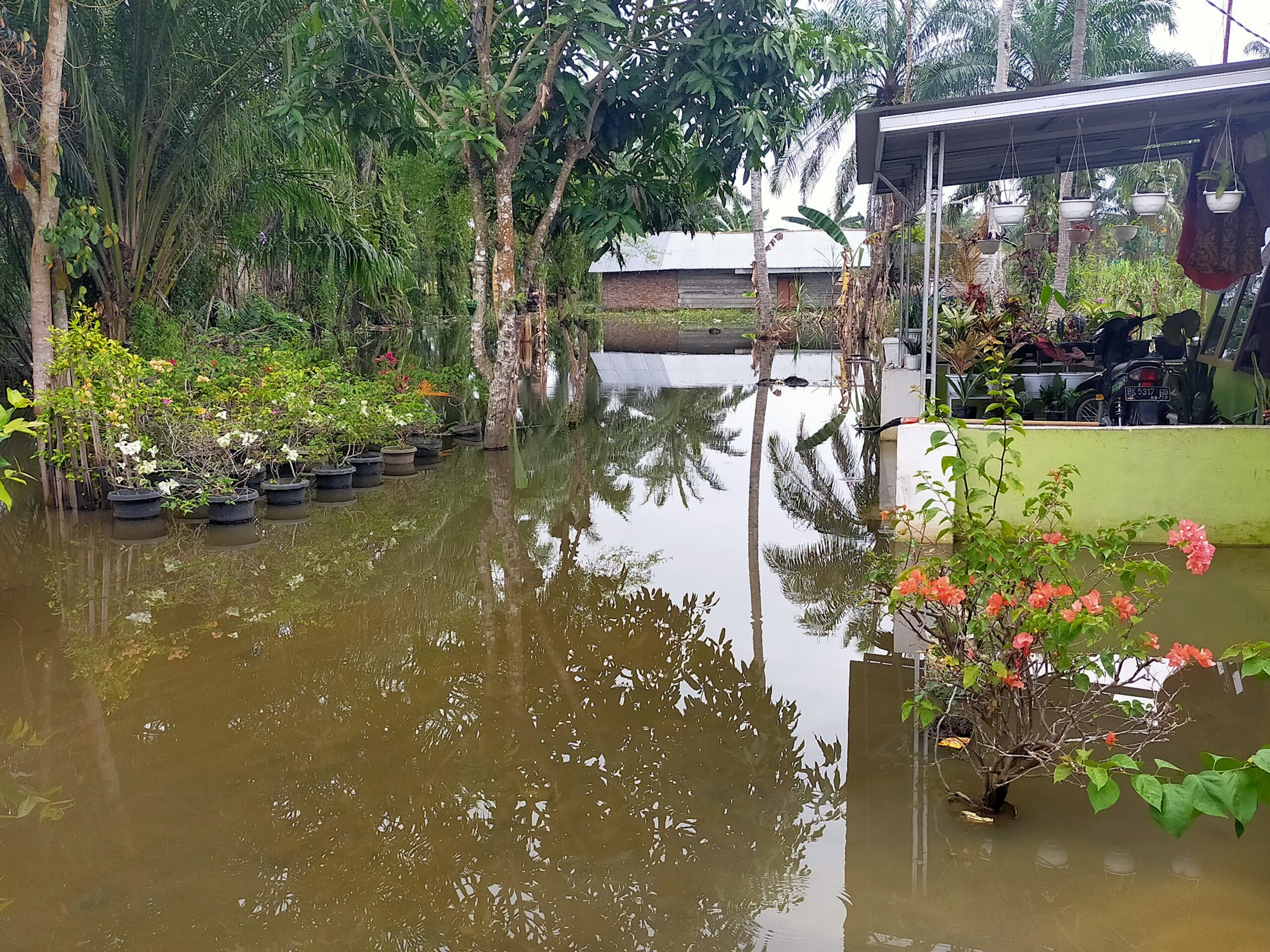 Tiga Bulan, Rumah Warga Di Sebelah Kantor Bupati Sergai Terendam Banjir