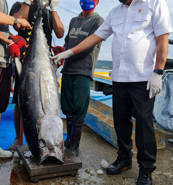 Menteri KKP Optimistis Ekspor Tuna dari Ambon ke Jepang Meningkat