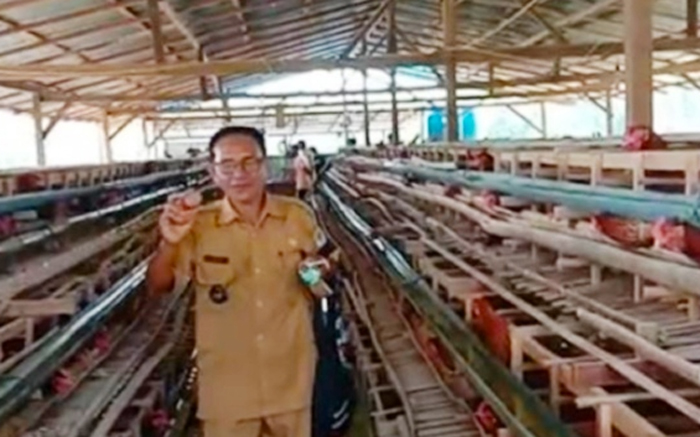 BUMDes Semarak Piasak Hulu Capai Rp45 Juta Per Bulan Dari Bisnis Telur Ayam