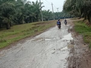 Jalan di Kecamatan Sei Dadap, Asahan Rusak, Butuh Perhatian Pemerintah