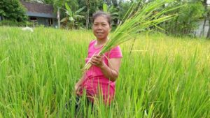 Semangat Bertani Sami Demi Kesejahteraan Anak