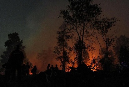 Polda Riau Tetapkan Tujuh Tersangka Pembakaran Lahan