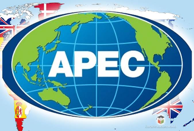 Indonesia Dorong Percepatan Pemulihan Ekonomi Kawasan Asia-Pasifik