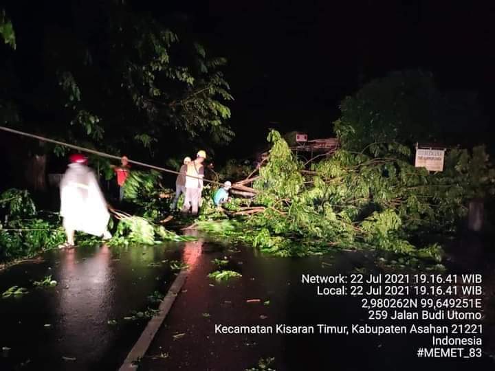 Akibat Angin Kencang, Pohon di Jalan Budi Utomo Kisaran Tumbang
