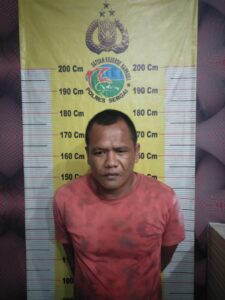 Bandar Sabu Simpang Tiga Perbaungan Ditangkap Polisi