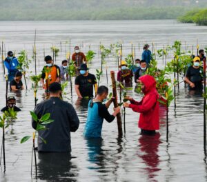 Presiden Tekankan Pentingnya Merawat dan Memelihara Hutan Mangrove di Tanah Air