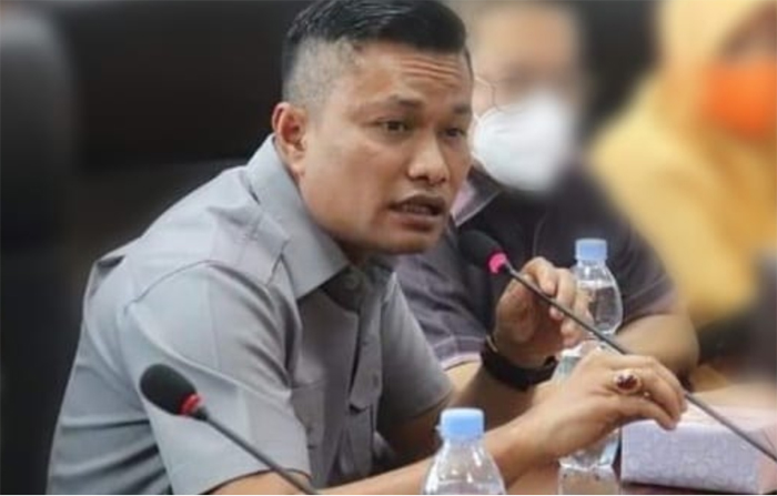 Soal Pajak PJU dan Perawatan Tiang Listrik, DPRD Medan Soroti Kinerja PLN