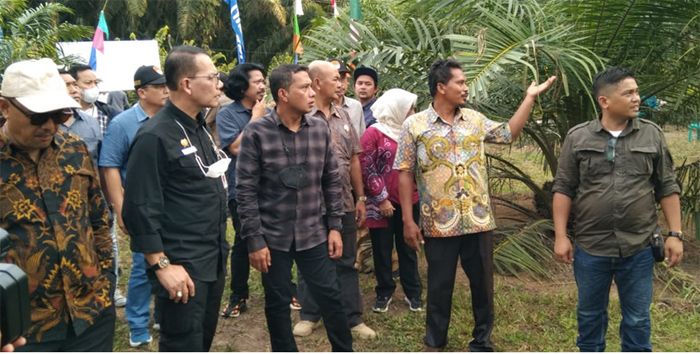 Bersama Petani Paluta, Ali Jamil Harahap Panen Perdana Kelapa Sawit Hasil Program PSR