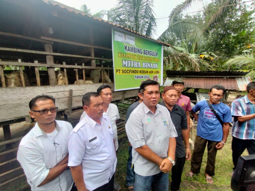 Kelompok Ternak Desa Padang Pulau Senang Terima CSR Kambing dari PT Socfindo Aek Loba