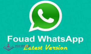 Cara Download Fouad WhatsApp Versi Terbaru 2023