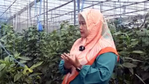 Direktur Polbangtan Malang, Setya Budhi Udrayana : Smart Farming, Memadukan Kualitas SDM dan Teknologi yang Digunakan