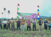 Giat Pj Wali Kota Letnan di Desa Mompang : Semangat Budidaya Bawang Merah di Kota Padangsidimpuan Akan Tetap Kita Dukung