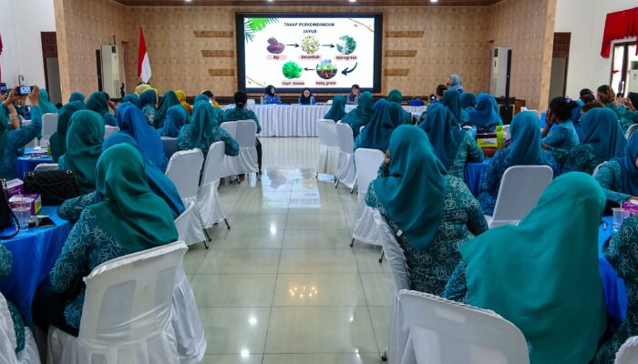 Pemko Medan Gandeng TP PKK Kota Medan Kembangkan Budidaya Microgreen dan Potensi Kewirausahaan